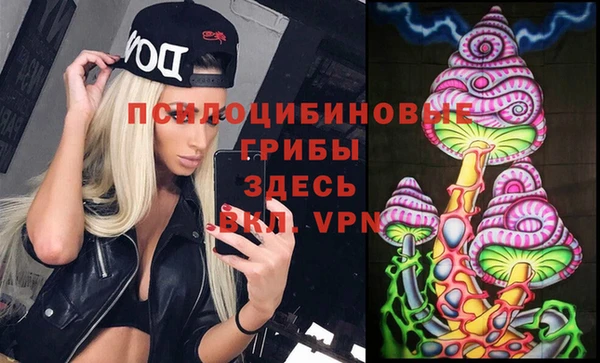 Альфа ПВП Алзамай
